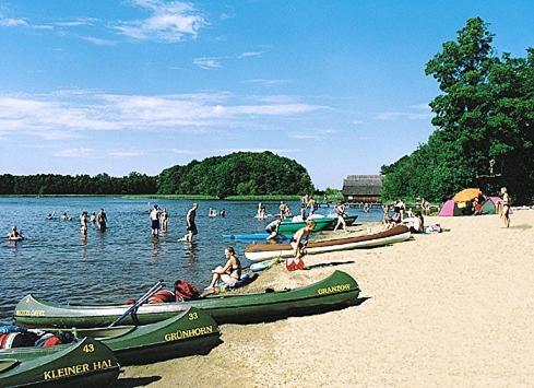 Gruppenbungalow-Waldhaus-Am Ferienpark Mirow Dış mekan fotoğraf